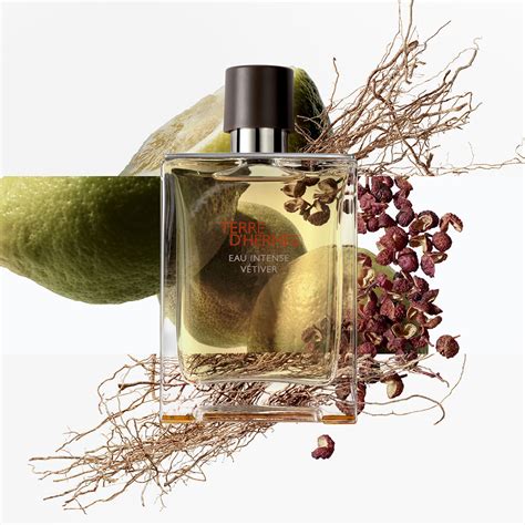 terre d hermes profumo opinioni|Terre D'Hermes Eau Intense Vetiver di Hermès da uomo.